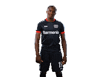 Bayer 04 Yes Sticker by Bayer 04 Leverkusen