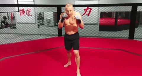 Ufc Punch GIF by Georges St-Pierre