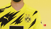 Happy Borussia Dortmund GIF by Bundesliga