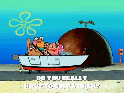 season 6 GIF by SpongeBob SquarePants
