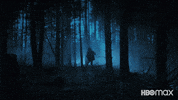 Running Away Crime Fighters GIF by HBO Max