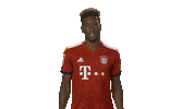 france no Sticker by Bundesliga