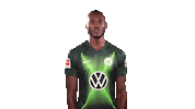 Josuha Guilavogui Instagram Sticker by VfL Wolfsburg