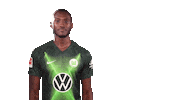 Josuha Guilavogui Instagram Sticker by VfL Wolfsburg