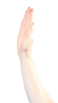 Waving Kate Middleton Sticker by Lighthouse Studio