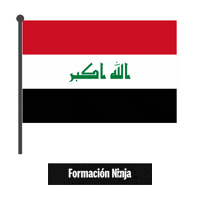 Iraq Flag Sticker by Formación Ninja