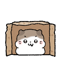 coconyangofficial 고양이 boxcat conyang 코코냥 Sticker