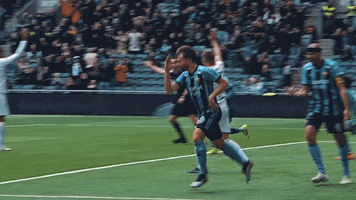 diffotboll fff stockholm dif une GIF