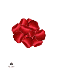 flower power love Sticker by La Fleur Bouquets