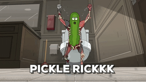 Pickle Rick GIF by Adult Swim