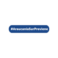 saludaraucaniasur araucania sur previene campaña de invierno araucania sur campaña de primavera Sticker