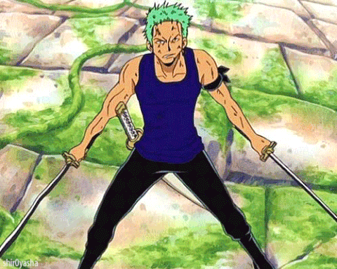 roronoa zoro GIF