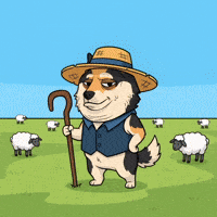 Straw Hat Dog GIF by Doge Pound