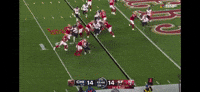 Touchdown 49Ers GIF