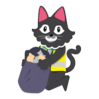 San Luis Cat Sticker by City of San Luis Az