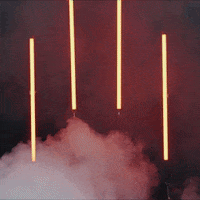 College Football Sport GIF by Texas Tech Football