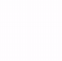 Spainnubcat GIF