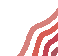 Pink Rainbow Sticker