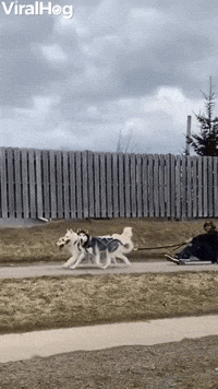 How My Crew and I Get Around