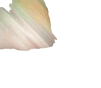 Inninnder Sticker