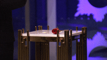 Abc Drama GIF by The Bachelor