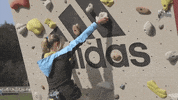 climbing austria GIF by Tirol