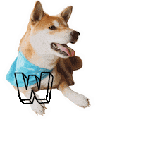 Shiba Inu Wow Sticker by Zypto