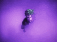 prince GIF