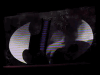 prince GIF