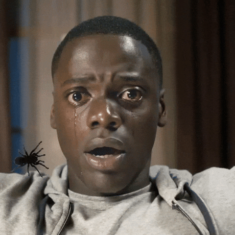 Jangabbies giphyattribution giphycreatortest GIF