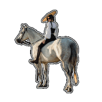 Horse Ride Sticker by Milton Menasco