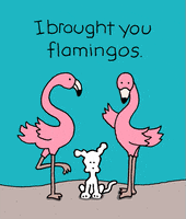 Dogs Flamingos GIF by Chippy the Dog