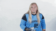 Huntington University GIF by FDN Sports