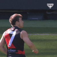 Aussie Rules Sport GIF by Essendon FC