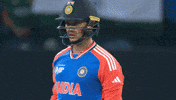 Sunrisers Hyderabad Tiger GIF