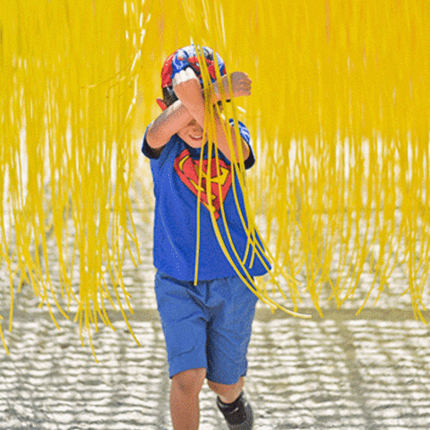MIM-museo giphyupload GIF
