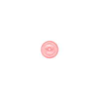 Pink Rose Sticker by LoveAndGreen