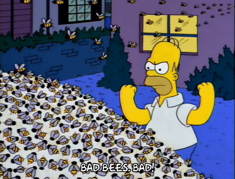 homer simpson GIF
