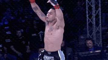 lightsoutxf celebration celebrate win winner GIF