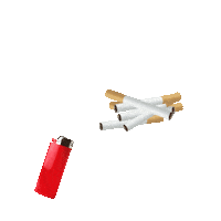 bishop briggs artist Sticker by Matt Maeson