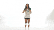 Huntington University Volleyball GIF by FDN Sports
