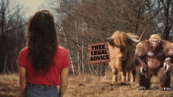 Free Legal Advice