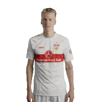 Football Sport Sticker by VfB Stuttgart