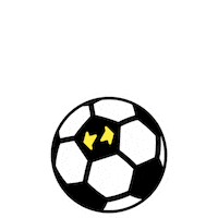 Soccer Futbol Sticker by Zapping_CH