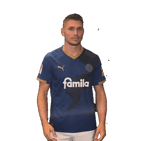 2 Bundesliga Football Sticker by Holstein Kiel