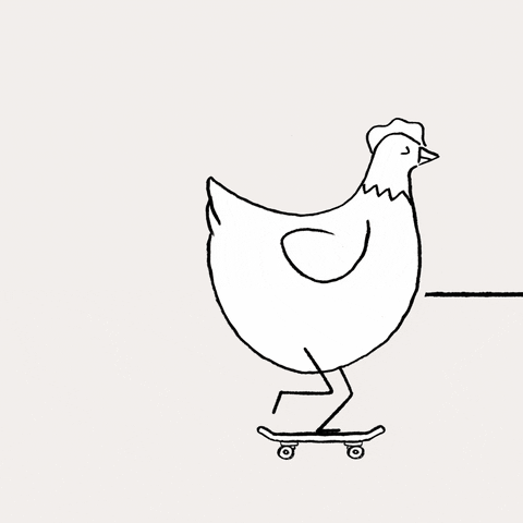skate chicken GIF by The Rocket Panda