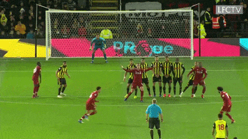 celebrate premier league GIF by Liverpool FC