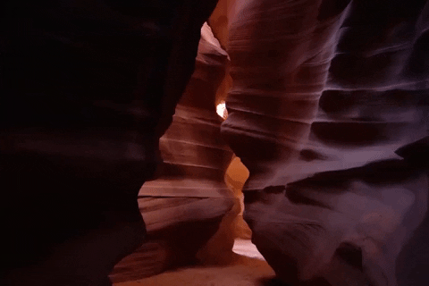 arizona GIF