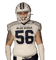 BlueWingsWolfsburg football sticker blue germany Sticker