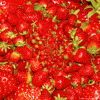 Strawberry GIF
